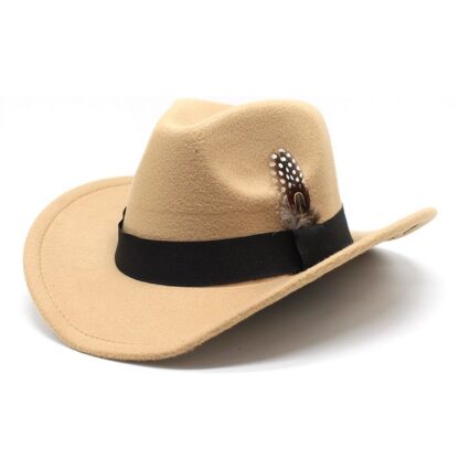 Cowboy Hat with Simulation Feathers